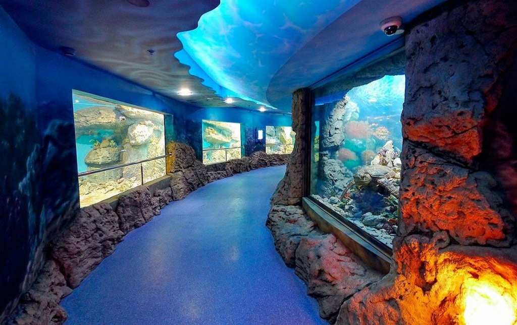 dostoprimechatelnosti-gelendzhika-22.jpeg dostoprimechatelnosti-gelendzhika-22.jpeg