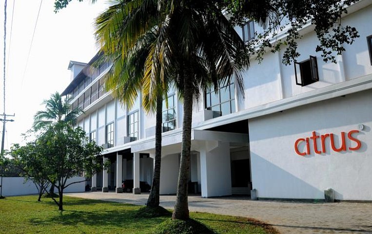 Citrus Hikkaduwa 4 вид сбоку.jpg Citrus Hikkaduwa 4 вид сбоку.jpg